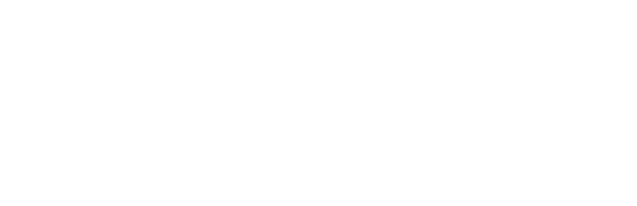 revolution-casino-Visa-logo-white.webp